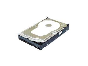 Dell 4.3GB ATA / IDE Hard Drives